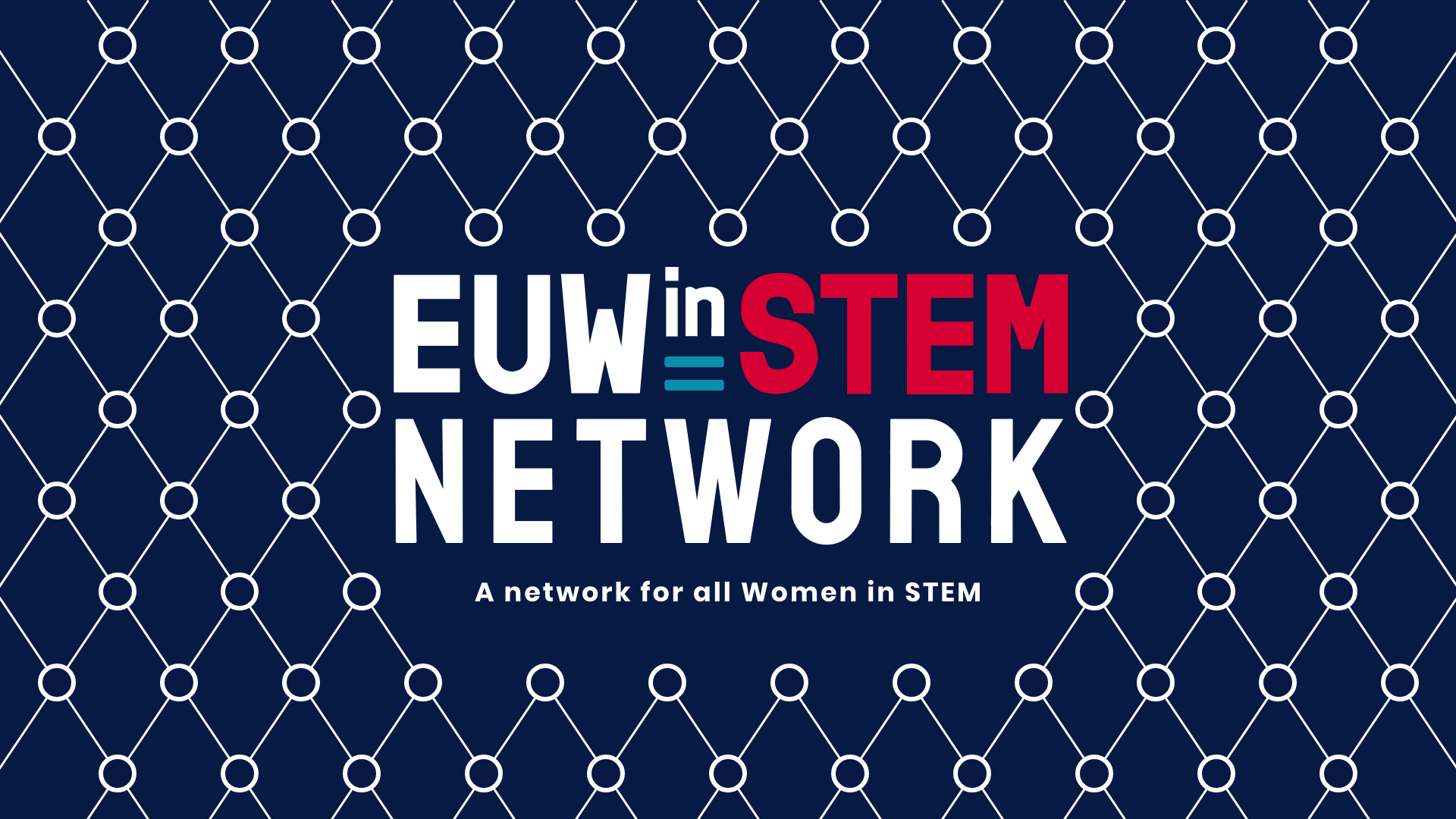 EUWiSTEM network banner